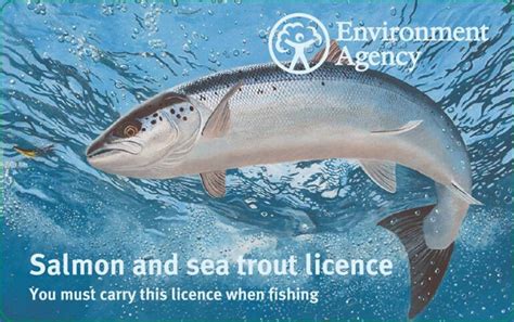 fishing licence scotland|The Sea Fishing (Licences and Notices) (Scotland) Regulations .
